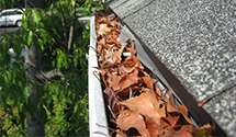 Gutter Cleaning